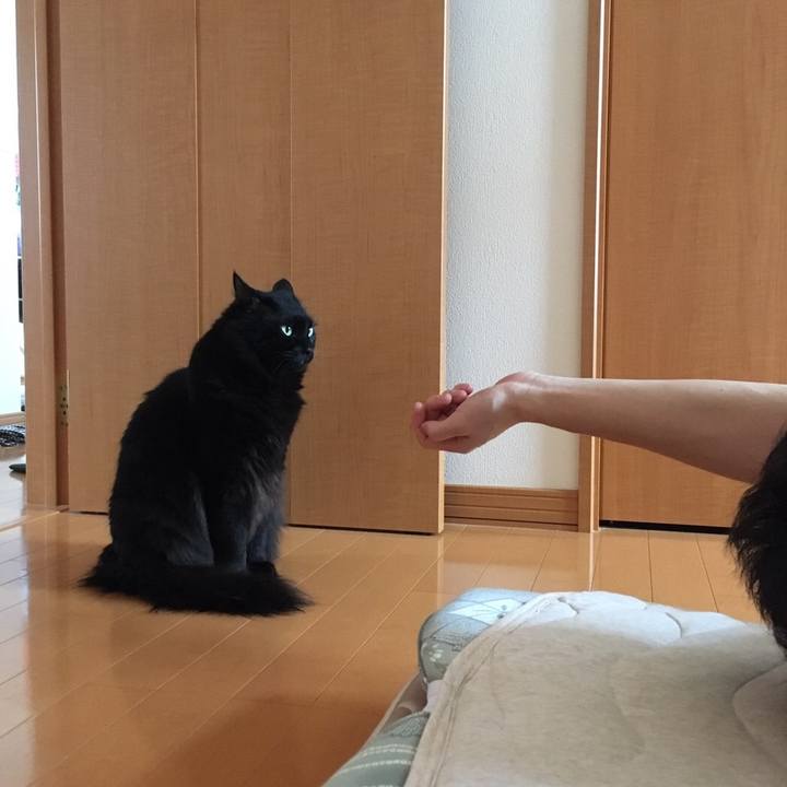 15d3e004 742b 4106 a2c6 b80cb6af9176