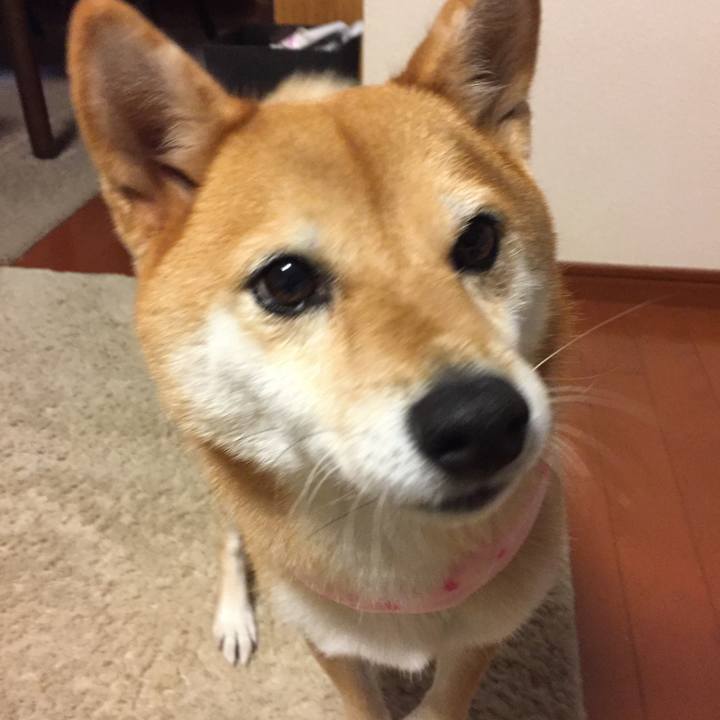 15d40b52 4516 4a20 b1da fe178c9e1a4e