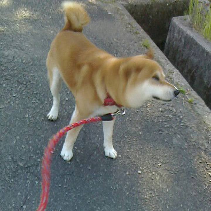 15d46819 5bd6 4b46 a56c 7723a0f698d0