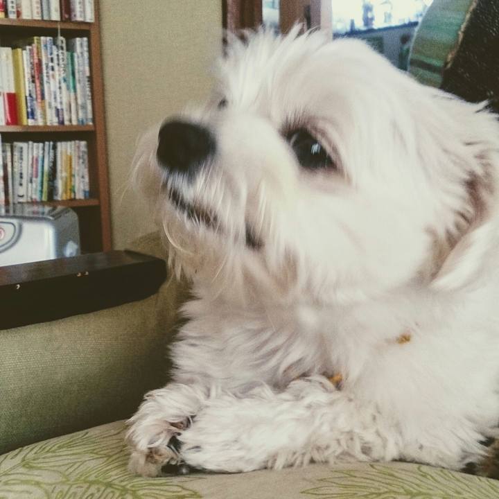 15d48620 a9b1 48d3 98f4 e7451e1915ba