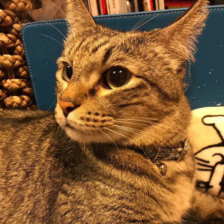 15d4bfd0 42ac 42a0 9b25 0f090397d1ea