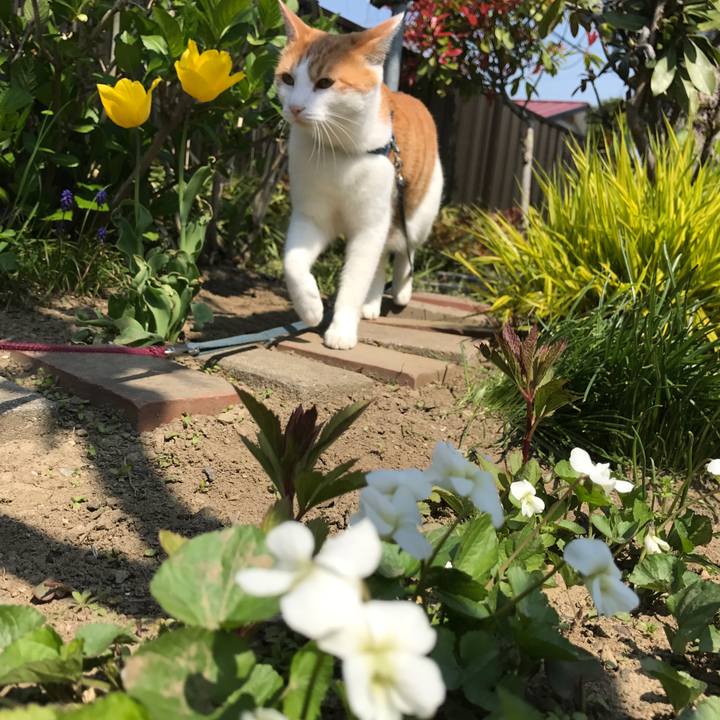 15d50977 1f01 4601 8a55 4b75faadfc71