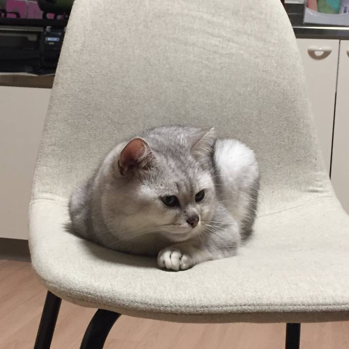 15d54137 9ea6 47b6 874e 29365f825b37