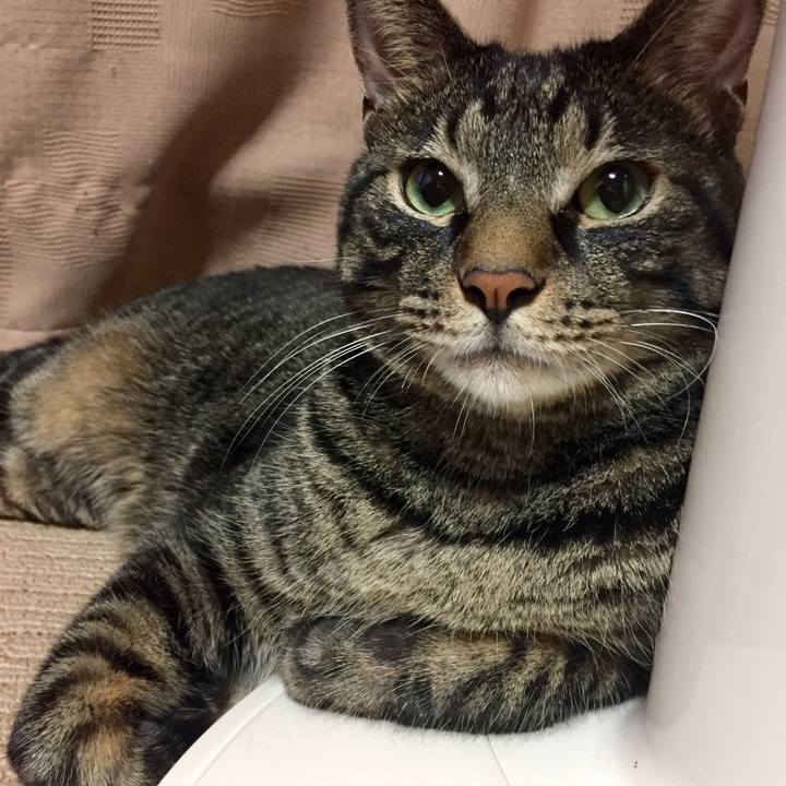 15d5a089 1c30 4537 a72c c36e28c8e1a3