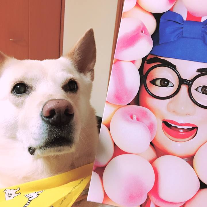 15d638ee 5b53 4931 b2f2 1a67e4e45563