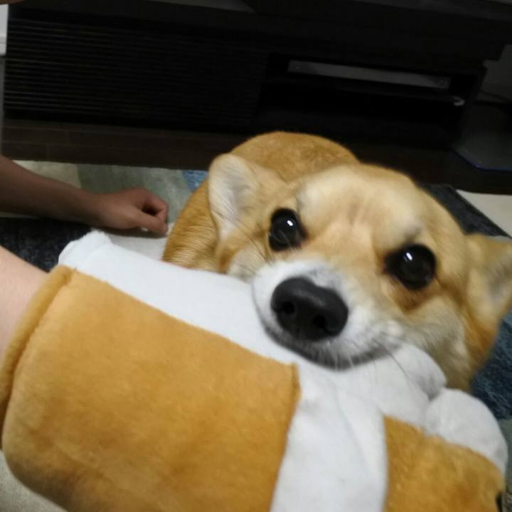 15d683c9 18fb 446d 9ce8 7462da590f08