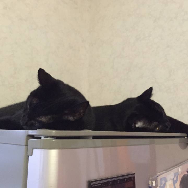 15d68c6b dff6 4a79 81b2 a78fa6089a69