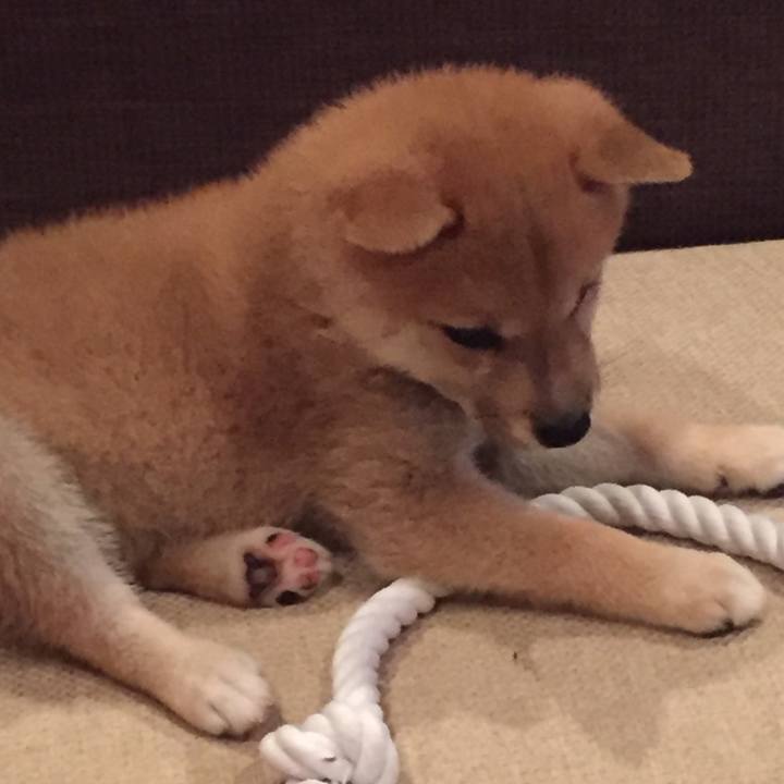 15d6a8d9 a477 488e bb07 4220778ac5fd