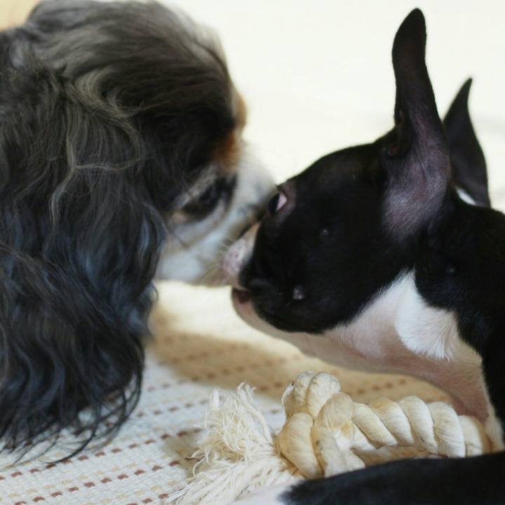 15d6d0ba 729e 4fc3 9280 ad4a2d0ec02a