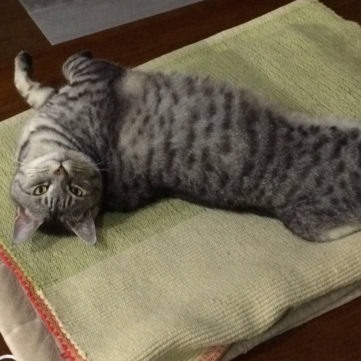 15d751f7 5aa2 47d6 b01b e8d5edee977f