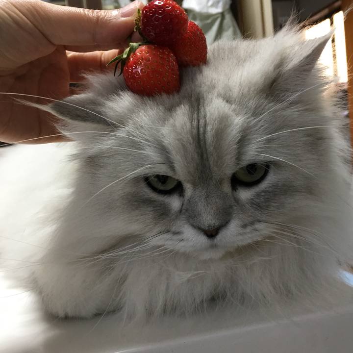 15d75faa 693c 43db bed8 13098c0d1d08