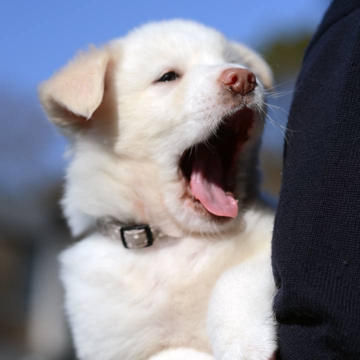 15d81ee3 3bd5 43e0 829d 06fc6e6f2fde