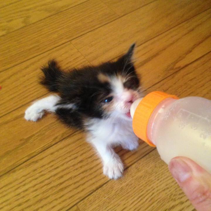 15d857e9 ef96 4abd bfff b29d94681080