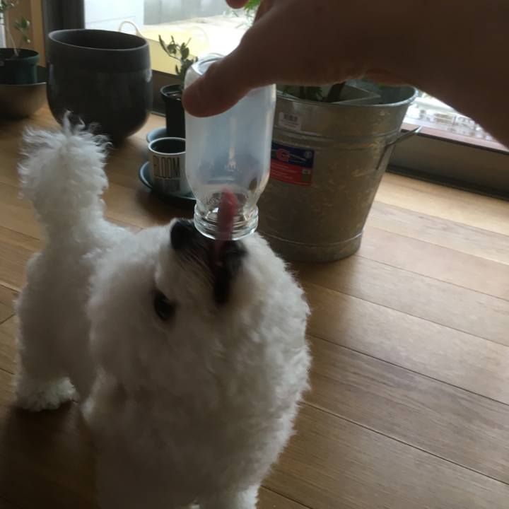 15d89fe3 5925 42d9 897e f2f79a8dca21