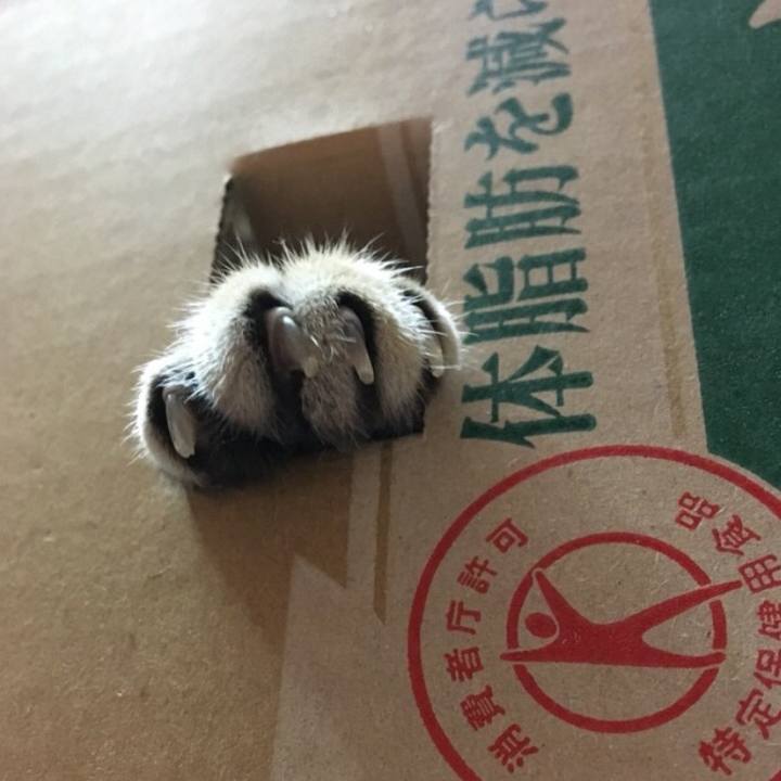 15d8c938 f1af 47d7 84d3 d73ce5742d3a