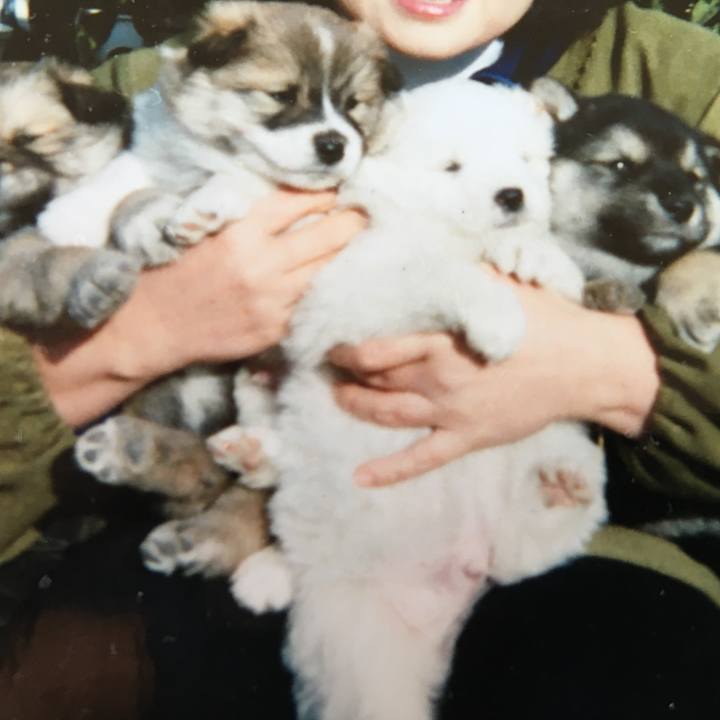 15d99ab1 855c 43e1 a185 20cb53943403