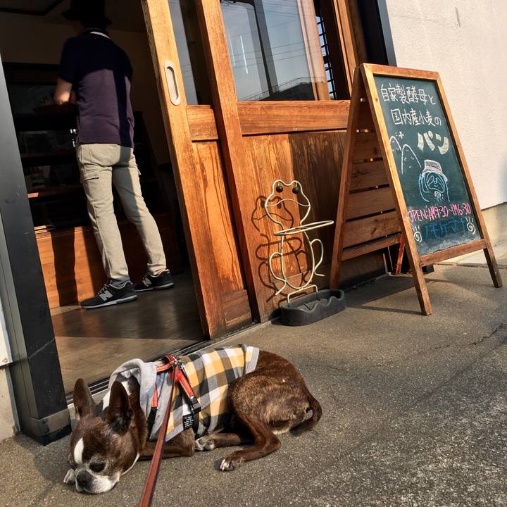 15d9aa3b e2fe 4fb4 8a23 498f26f07354