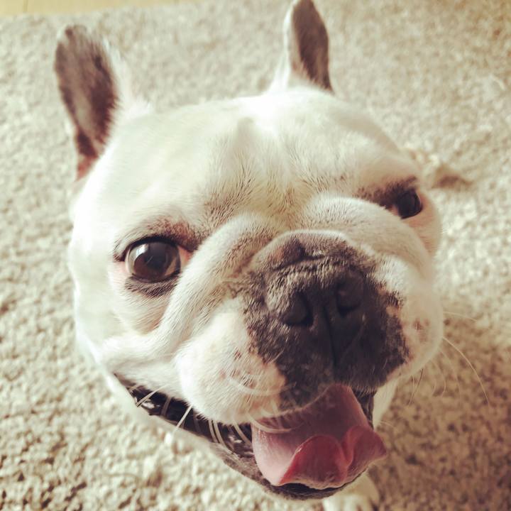 15d9b299 6495 4688 9b47 b3586d62fbbf