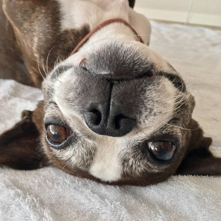 15d9dab7 8922 46c1 8e7c 04ed9aa6035f