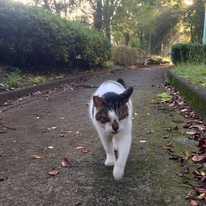 15d9e12c 170e 4435 8935 046b8d1652e3