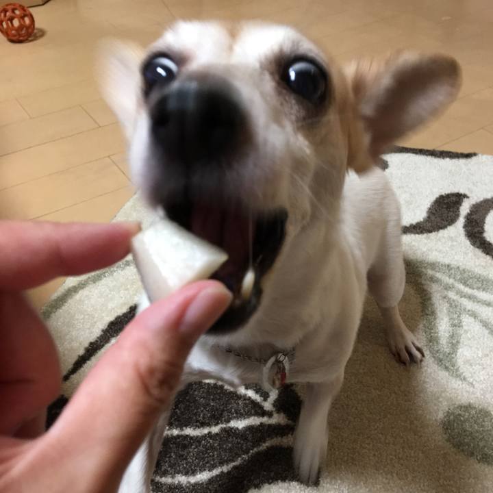 15d9fe23 609c 4191 92db 0234ef09d126