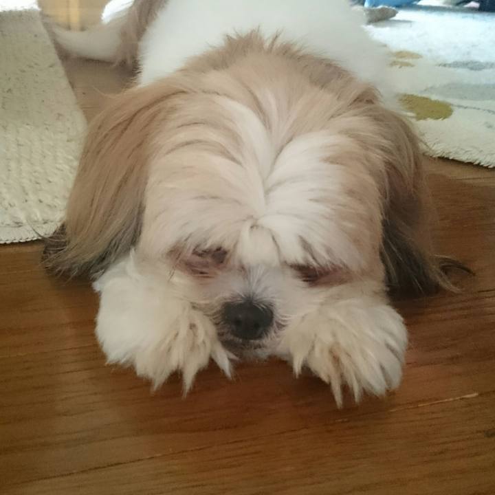 15da5368 f576 4b33 b57a e35d2ddb67f6