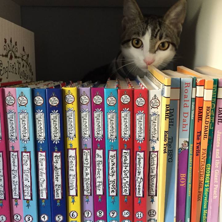 15da68e6 65ee 4862 bbcc d03bdbfed0bf