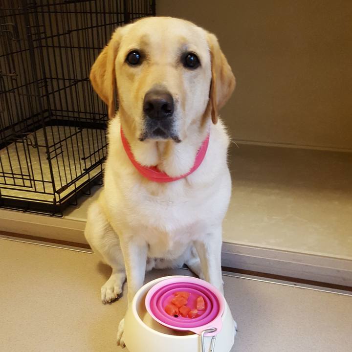 15da6f6d c2ce 45fe 8b10 d42a43f23dc4