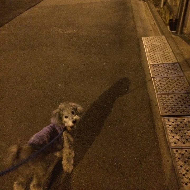 15daa08d b938 4232 a2ec aec1f5bd8f7a