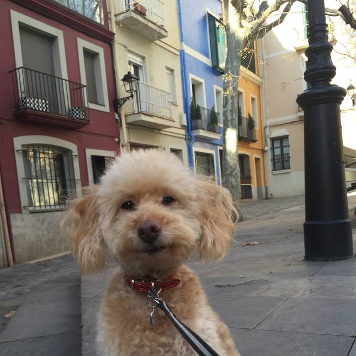 15dacff2 10fd 4c53 a842 0b6f77c677e4