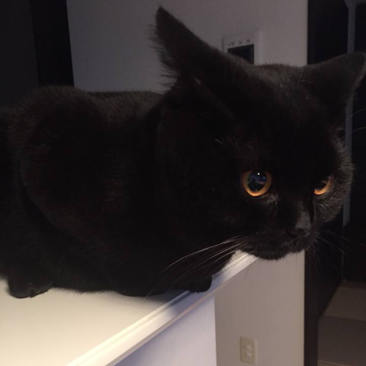 15daf7f9 6fc0 4594 8ac2 62249ef8b8c6