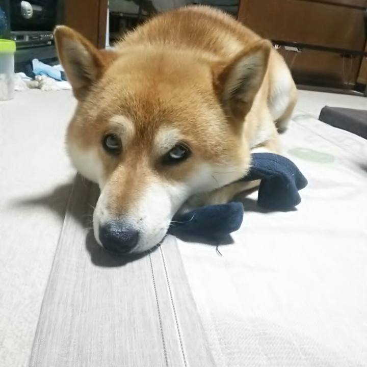 15db4c9d 6ab2 4a7a bcbe 087f4aa72b4e