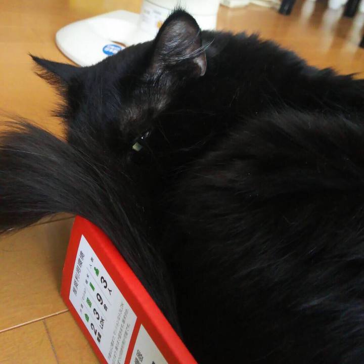 15dbef00 72e2 4c6e 9615 803da52a3bcc