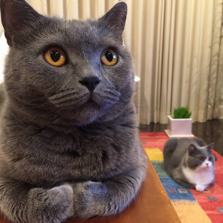 15dbf736 a0f8 434b 9168 187263193c58