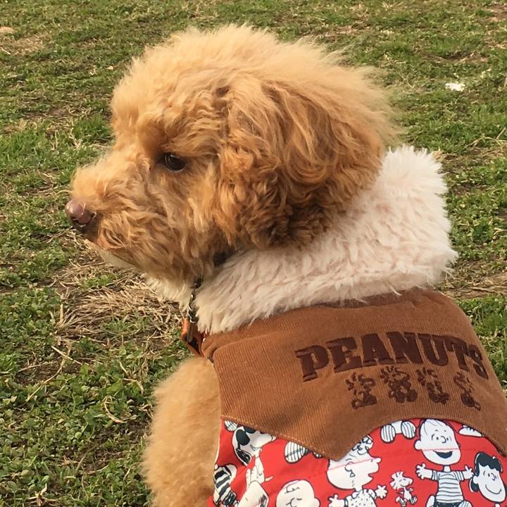 15dc1b34 d0ad 456f 80dc 996cb0d6b4d8