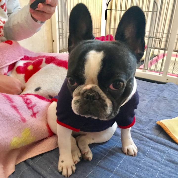 15dcee03 14f1 4f18 8b45 84ec2dd4f792