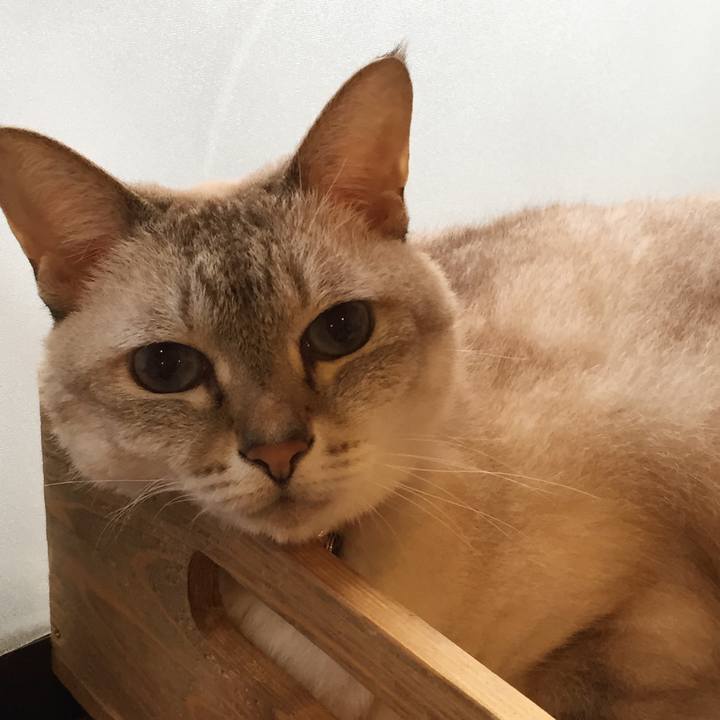 15dd94cb 7a1a 4264 b743 25b1c5e0b8c4