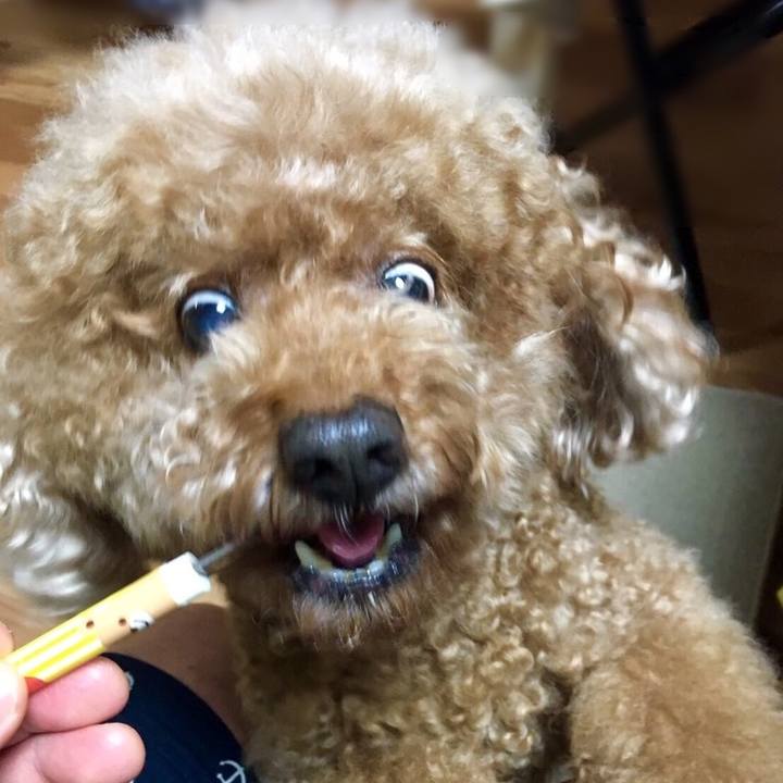 15dd94f0 182e 4606 b9a7 b6e6d02d3d5a