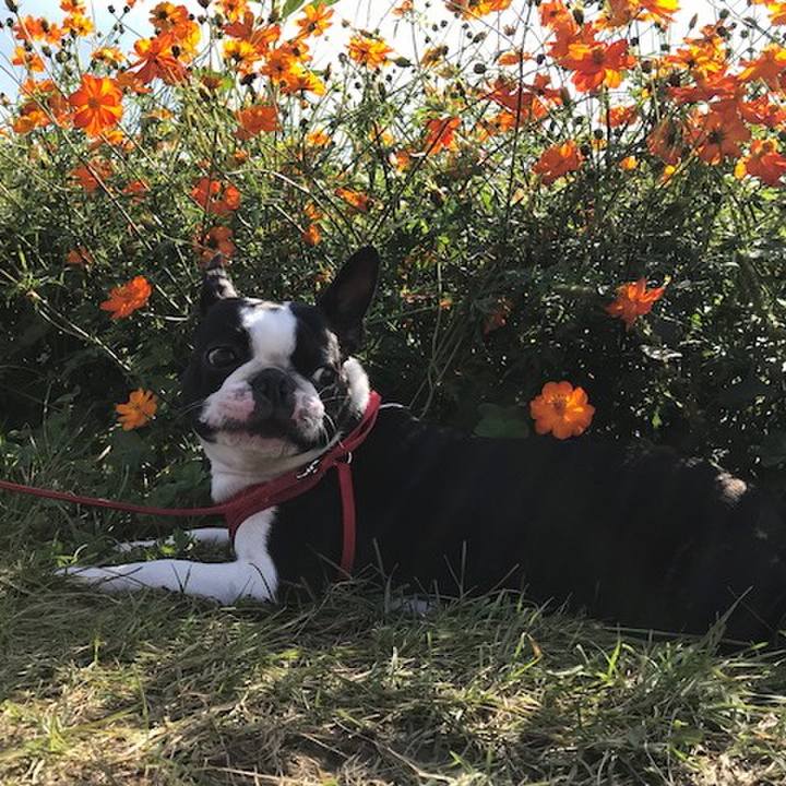 15de077e b68a 409b 8c35 0f26b8510a12