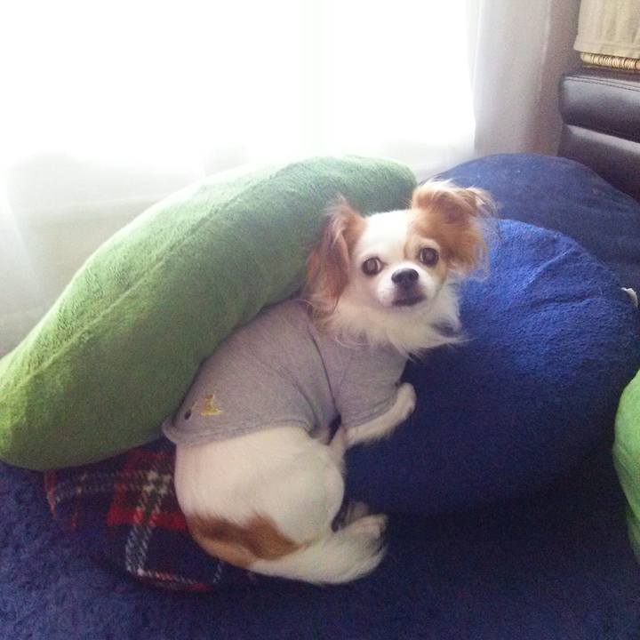 15de7abd 6901 4a83 b2ed d13e9747729a