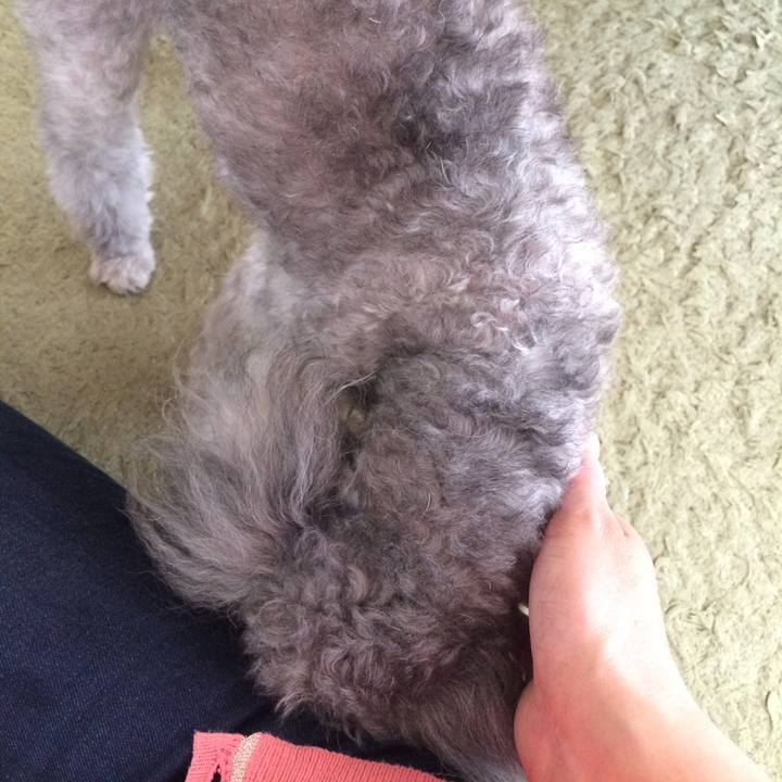 15df357e e3aa 443d ad91 76401fd6cba8