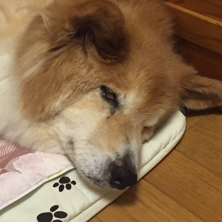 15df8dda 938e 4b27 a33a ebf99fa4b172