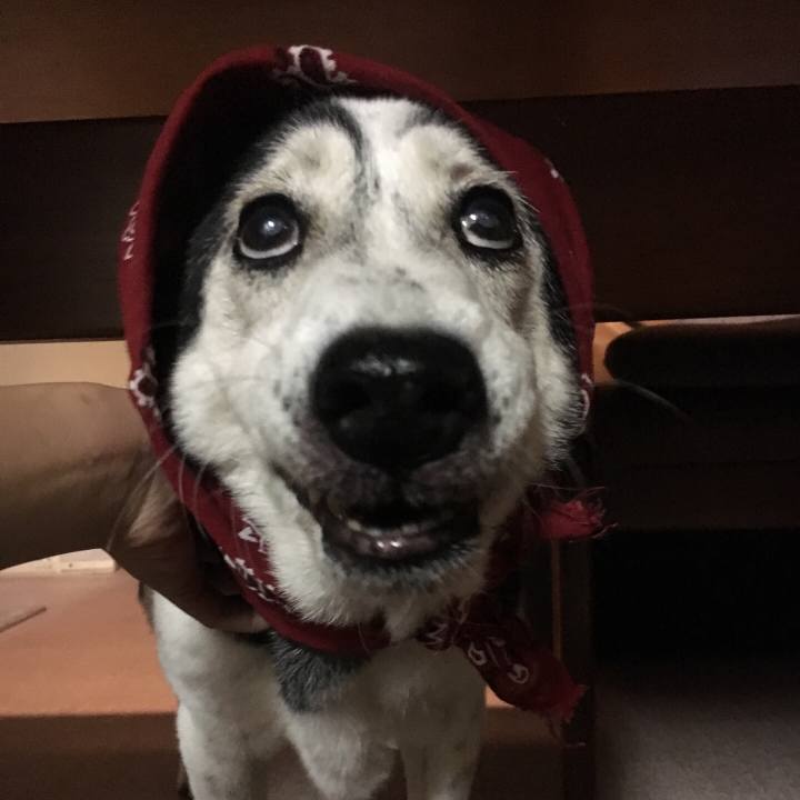 15e07025 ae41 4662 8ae5 8c04c7921137