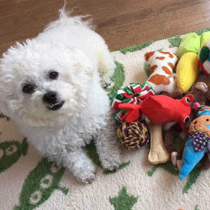 15e071e2 1785 4e41 ae7c 3a1daece0bf3