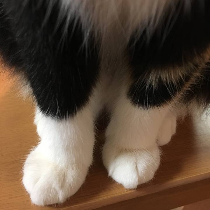 15e07fe2 df48 4301 b6bd cc946d363672