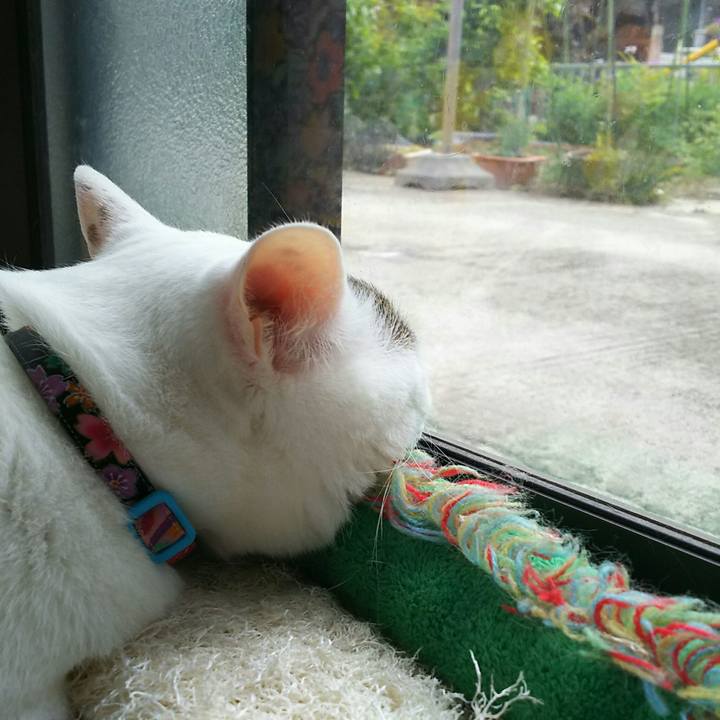 15e249bb 776d 4603 b30c 518413ff38b6