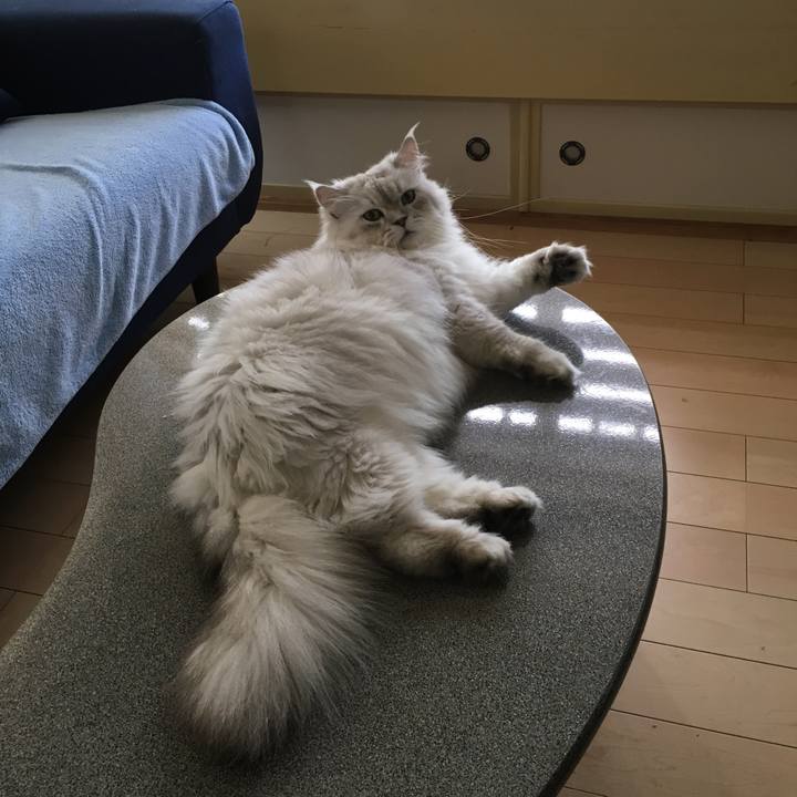 15e25958 4b49 4ad9 99b0 1e8e9d687c9f