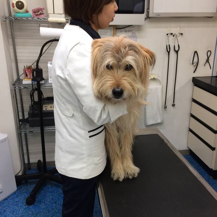 15e26e84 c861 4d8d a888 9eebc0ef2a27