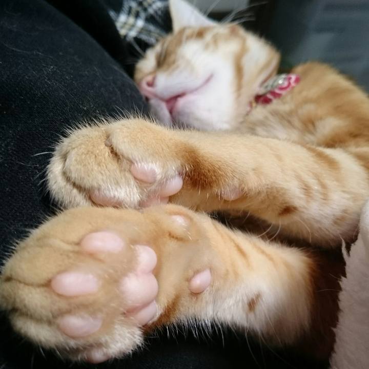 15e2c8ff 851d 46f6 9dc1 b3612f99af08