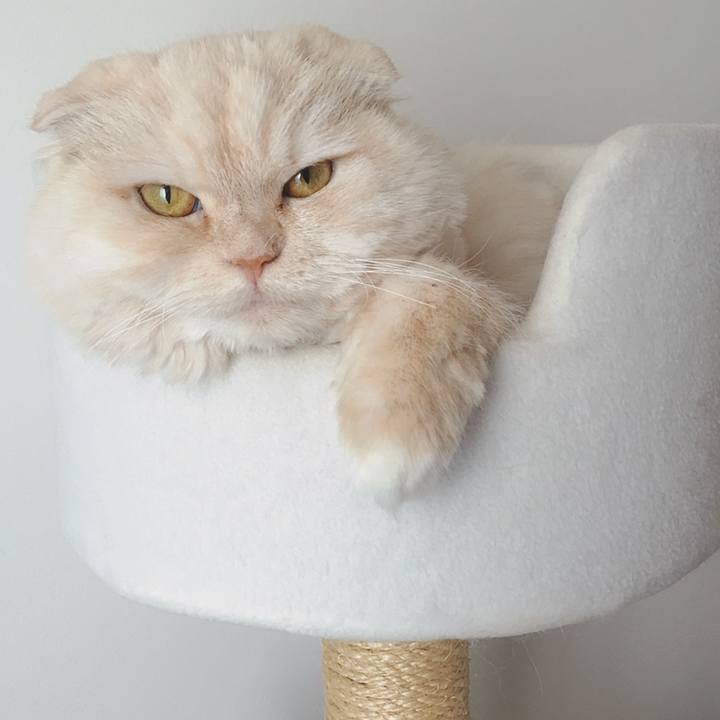 15e2d988 b809 4aed 90f7 f32aa3d44fef